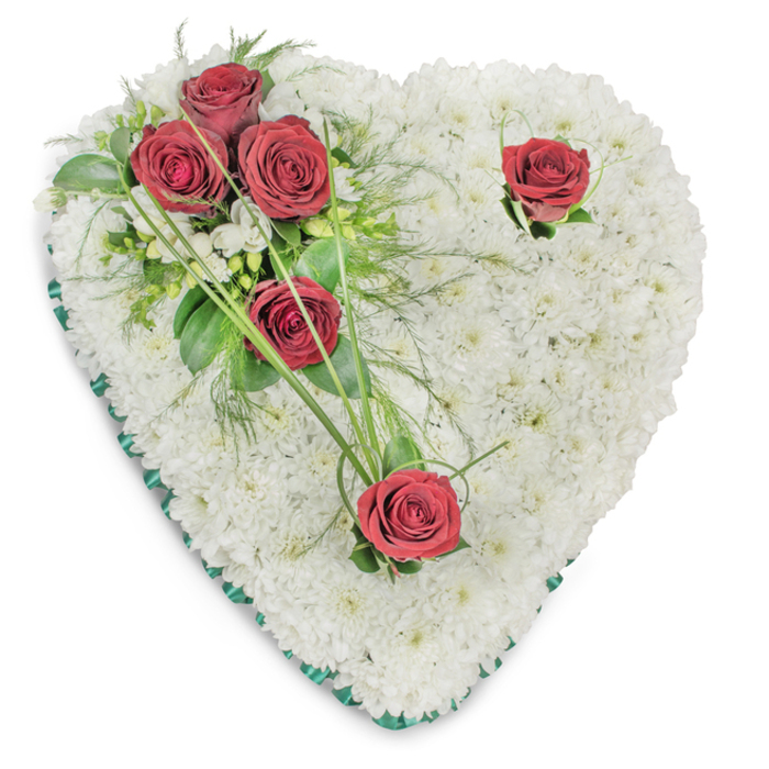 A classic heart-shaped sympathy arrangement, photographed against a clean white backdrop, its form entirely built from a dense blanket of small white chrysanthemums that create a smooth, textural surface reminiscent of a soft cushion. On the upper left, three velvety, deep crimson roses form a concentrated cluster surrounded by rich, glossy leaves and delicate fern-like greenery; the florist has extended a few long, bright green bear grass blades that arc outward, adding graceful motion. Two further red roses punctuate the composition - one near the right-hand curve and another at the heart's pointed base - each set slightly apart with minimal green accents so their deep colour reads with poignant clarity against the pure white field. Scattered among the foliage are tiny white filler blooms that provide subtle sparkle and complexity, and the entire silhouette is neatly edged with a thin emerald-green satin ribbon which gives the heart a defined, solemn border. Overhead lighting highlights the layered textures and casts soft shadows between chrysanthemum heads, emphasizing depth and the handcrafted precision of placement. The imagined scent pairs the cool, clean crispness of chrysanthemum with the richer, familiar aroma of red roses, evoking respect and affectionate sorrow. This arrangement conveys formal dignity and tender remembrance, the kind of memorial piece a local Byfleet florist would supply for a church wake, graveside ceremony or service at a nearby chapel, offering a composed and lasting floral message of condolence.