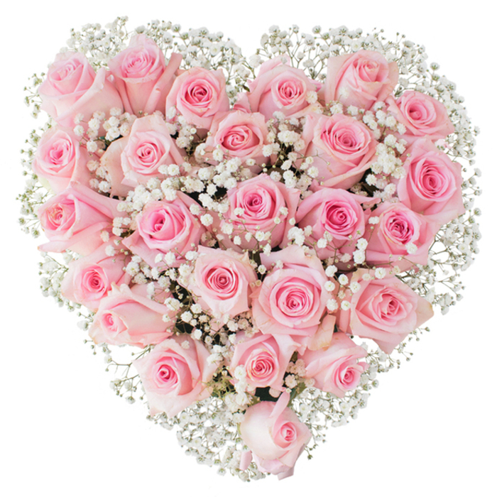 A heart formed from a luxuriant carpet of pale pink roses, the blooms arranged so closely that the individual heads blur into a single plush surface, with tiny white baby's breath threaded throughout like whispering threads of light. The roses show a gentle range of pinks - from almost-white blush to a tender mid-pink at the centre of each bloom - and their petals have a cool, satiny texture that the photograph's clean white background helps to emphasise. The gypsophila offers a frothy foil to the velvety roses: its miniature florets sit like snow on the surface, softening edges and lending a romantic, antique feeling to the silhouette. The heart's symmetry is exacting, the edges clearly defined by clusters of baby's breath that create a luminous frame against the pristine backdrop, while the central mass of roses reads as a warm, tactile core. Under bright, neutral lighting the subtle shadows between petals give depth and dimensionality, suggesting the careful placement and skilled wiring typical of a seasoned florist's work. In the local context of Byfleet - whether for a quiet anniversary near the village green, a small wedding at a nearby church, or a heartfelt gift delivered along Church Road or the riverside - this arrangement communicates sustained affection, tenderness and a respectful kind of beauty that suits both celebration and intimate remembrance.