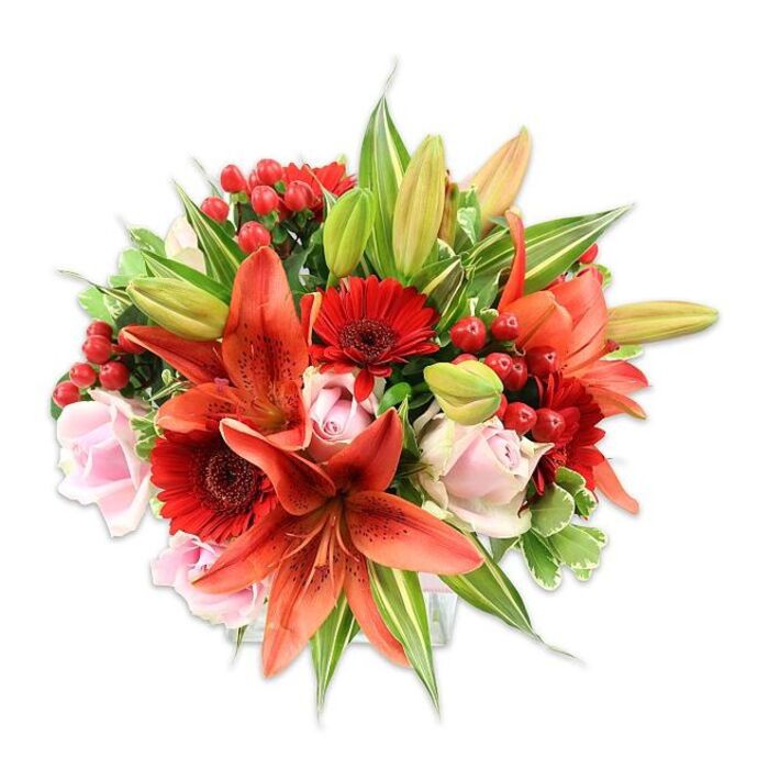 Set against a pristine white field that highlights every hue and texture, this abundant bouquet reads as a study of warm romance and crafted abundance. The focal flowers are several grand Asiatic lilies in a vivid orange-red - full, open blooms showing delicate speckling and pronounced stamens, alongside a few graceful, elongated buds that promise future flowering. Interwoven are intensely coloured red gerbera daisies, their many slender petals forming sunburst-like faces around deep central disks, and gentle blush-pink roses that soften the arrangement with their concentric petals and tender, layered shapes. Scattered through the composition are clusters of small, polished red hypericum berries, their jewel-like gloss offering a tactile counterpoint and a festive flourish. The foliage is generous and varied: smooth, broad leaves provide visual weight and a dark green backdrop, while variegated greens with lighter streaks introduce movement and light within the bouquet. The arrangement's full, rounded silhouette speaks to meticulous hand-tying and floral technique, producing a balanced mass of colour and form that would sit beautifully on a mantelpiece or dining table. The scent profile, if one could inhale it here, would be a gentle spicy-lilies note softened by rose sweetness. As a design suited to anniversary bouquets, celebratory gifts, or an elegant Valentine's surprise, it conveys warmth and passion befitting recipients across Byfleet and nearby Brooklands - an arrangement that looks crafted to make someone pause and smile.