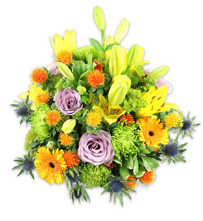 A richly textured, vibrantly coloured bouquet set against a pure white background, thoughtfully arranged to showcase a harmony of warm and cool tones. Several yellow Asiatic lilies provide the dominant vertical thrust-some petals fully unfurled to display speckled interiors and long stamens, others poised as elongated buds that suggest forthcoming bloom. Two to three soft lavender roses rest within the centre, their delicate spirals offering a quiet, romantic focus amidst the brighter elements. Bold orange gerbera daisies, with their radiating petals and deeper centres, repeat across the surface to anchor the eye, while lime-green button chrysanthemums and cushiony pom-pom blooms build out a lush, ruffled mass that reads almost like living texture. Interspersed are little, spiky spherical blooms in vivid orange and golden yellow that add playful contrast, and a handful of indigo-blue sea thistles (Eryngium) appear along the sides and lower plane, their cool, architectural shapes adding a contemporary, slightly rustic note. Varied green foliage-wide lily leaves, mid-green fillers, and dusky stems-creates depth and a natural frame. The soft light brings out petal translucence and the subtle scent of roses and lilies. This bouquet suggests celebration, comfort, and thoughtful connection; it would brighten a dining table or make a considered sympathy gesture in a home near St Mary's Church or the recreation ground in Byfleet, delivering both colour and calm with skilled florist craftsmanship.