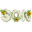 A tender, studio-lit tribute spells the word SON in three bold capital letters, each letter formed from a dense, cloud-like mass of small white chrysanthemums that read as soft, pillowy texture under the camera's clear light. The chrysanthemums are pristine ivory to soft cream, their layered petals giving a sense of quiet peace; tucked through that white foundation are glossy ribbons of dark green ivy and feathery fern fronds that lend depth and organic movement, as if the letters might breathe. Each of the three letters is gently punctuated by a single, striking sunflower - brilliant golden-yellow petals spilling warmth against the cool white, each with a rich, dark brown centre that draws the eye and offers an emblem of light in sorrow. The first sunflower nests into the upper left curve of the S, another rests at the lower centre of the O among the ferns, and the third crowns the upper right of the N; together they create a visual rhythm of comfort and remembrance. Photographed against a stark white background, the arrangement's textures and contrasts are deliberately clear: the matte softness of chrysanthemums, the polished sheen of ivy, and the bold, almost tactile faces of the sunflowers. As a local Byfleet florist I imagine this piece laid near St Mary's Church or placed beside a chapel casket at a Service of Thanksgiving; its quiet palette of white, green and sunflower gold conveys respect, love and a hopeful warmth. It reads both as a personalized memorial and as a gentle reassurance - an arrangement for a son, crafted with care and local understanding in Byfleet and surrounding West Byfleet and New Haw communities.